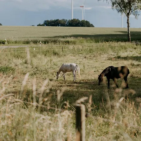 Appartamento Paerchen Auszeit Am Rande Der Heide Tokajer