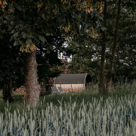 Paerchen Auszeit Am Rande Der Heide Tokajer * Schwienau