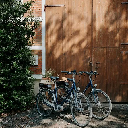 Paerchen Auszeit Am Rande Der Heide Tokajer * Schwienau