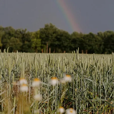 Appartamento Paerchen Auszeit Am Rande Der Heide Tokajer Schwienau