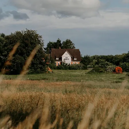 Paerchen Auszeit Am Rande Der Heide Tokajer Appartamento *