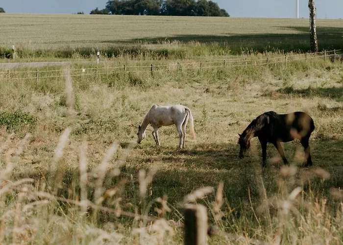 Lägenhet Paerchen Auszeit Am Rande Der Heide Tokajer