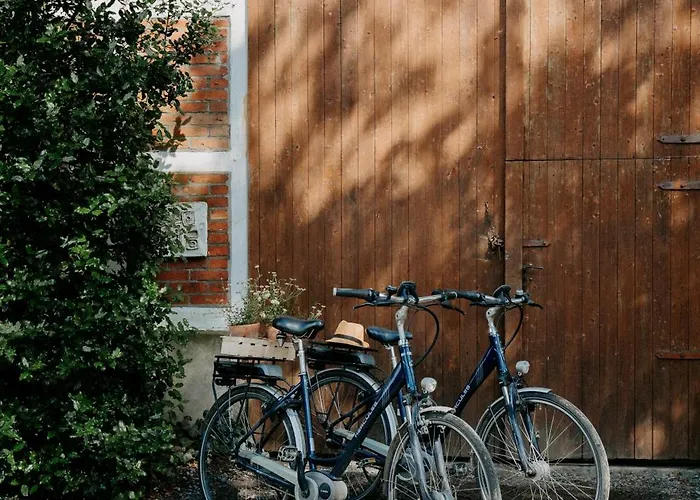 Paerchen Auszeit Am Rande Der Heide Tokajer * Schwienau