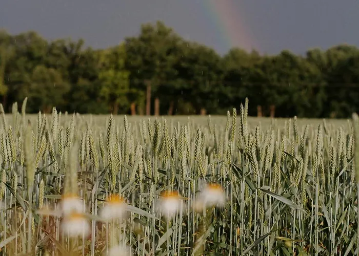 Lägenhet Paerchen Auszeit Am Rande Der Heide Tokajer Schwienau