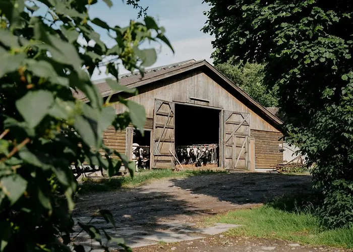 Paerchen Auszeit Am Rande Der Heide Tokajer * Schwienau